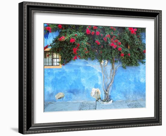 Mexico, Ajijic. Bougainvillea against wall.-Jaynes Gallery-Framed Photographic Print