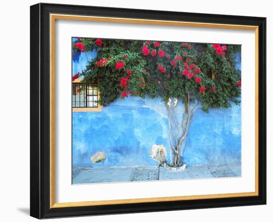 Mexico, Ajijic. Bougainvillea against wall.-Jaynes Gallery-Framed Photographic Print