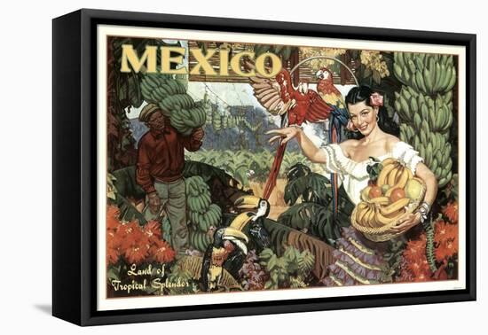 Mexico and Bananas-null-Framed Premier Image Canvas