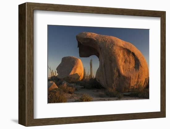 Mexico, Baja California. Boojum Trees and Boulder Formations at Sunset Near Catavina-Judith Zimmerman-Framed Photographic Print