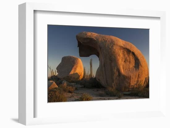 Mexico, Baja California. Boojum Trees and Boulder Formations at Sunset Near Catavina-Judith Zimmerman-Framed Photographic Print