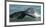 Mexico, Baja California, Gray Whale Flukes Exposed, Diving in the San Ignacio Lagoon, Sea of Cortez-Judith Zimmerman-Framed Premium Photographic Print