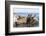 Mexico, Baja California Sur. Isla Coronado, California Sea Lion colony haul out called La Lobera.-Trish Drury-Framed Photographic Print