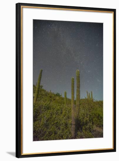 Mexico, Baja California Sur, Isla San Jose. Cardon cactus and Milky Way.-Jaynes Gallery-Framed Photographic Print