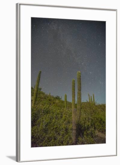 Mexico, Baja California Sur, Isla San Jose. Cardon cactus and Milky Way.-Jaynes Gallery-Framed Photographic Print