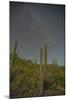 Mexico, Baja California Sur, Isla San Jose. Cardon cactus and Milky Way.-Jaynes Gallery-Mounted Photographic Print