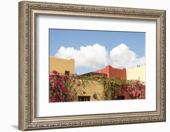 Mexico, Baja California Sur, Loreto Bay. Bougainvillea and clouds-Trish Drury-Framed Photographic Print