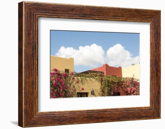 Mexico, Baja California Sur, Loreto Bay. Bougainvillea and clouds-Trish Drury-Framed Photographic Print