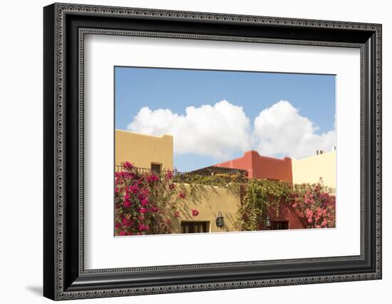 Mexico, Baja California Sur, Loreto Bay. Bougainvillea and clouds-Trish Drury-Framed Photographic Print