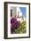 Mexico, Baja California Sur, Loreto. Colorful display of bougainvillea-Trish Drury-Framed Photographic Print