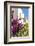 Mexico, Baja California Sur, Loreto. Colorful display of bougainvillea-Trish Drury-Framed Photographic Print