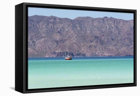 Mexico, Baja California Sur, Sea of Cortez, Loreto Bay. Lone sailboat.-Trish Drury-Framed Premier Image Canvas