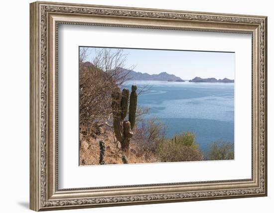 Mexico, Baja California Sur, Sea of Cortez, Loreto Bay.-Trish Drury-Framed Photographic Print