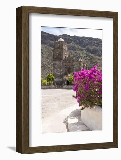 Mexico, Baja California Sur, Sea of Cortez. Mission San Francisco Javier with bougainvillea blooms-Trish Drury-Framed Photographic Print