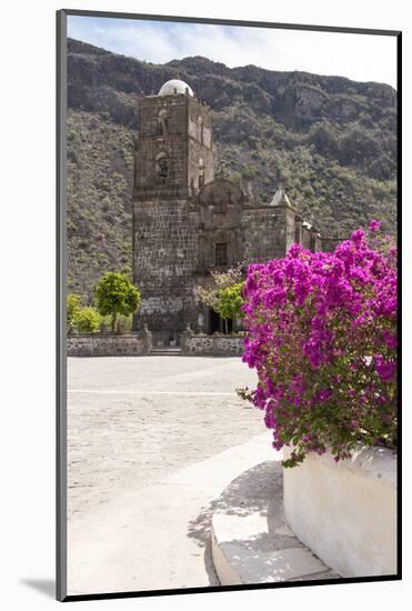 Mexico, Baja California Sur, Sea of Cortez. Mission San Francisco Javier with bougainvillea blooms-Trish Drury-Mounted Photographic Print