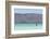 Mexico, Baja California Sur, Sea of Cortez. View to mainland from Isla Coronado-Trish Drury-Framed Photographic Print