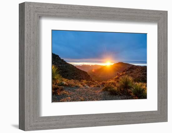 Mexico, Baja California Sur, Sierra de San Francisco. Desert sunrise from a mountain pass.-Fredrik Norrsell-Framed Photographic Print