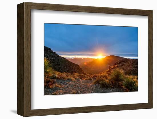 Mexico, Baja California Sur, Sierra de San Francisco. Desert sunrise from a mountain pass.-Fredrik Norrsell-Framed Photographic Print