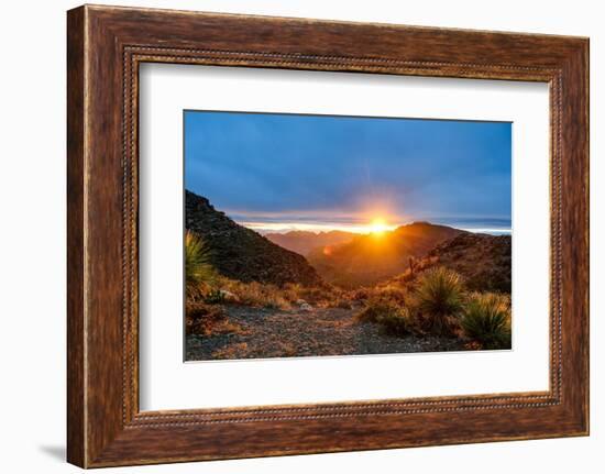 Mexico, Baja California Sur, Sierra de San Francisco. Desert sunrise from a mountain pass.-Fredrik Norrsell-Framed Photographic Print