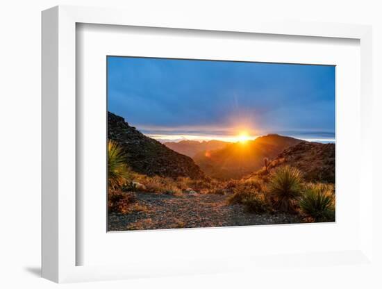 Mexico, Baja California Sur, Sierra de San Francisco. Desert sunrise from a mountain pass.-Fredrik Norrsell-Framed Photographic Print