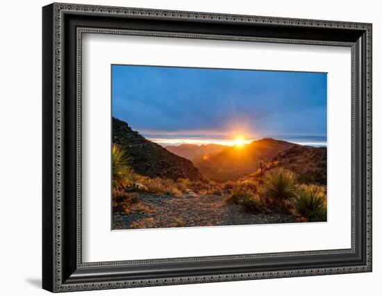 Mexico, Baja California Sur, Sierra de San Francisco. Desert sunrise from a mountain pass.-Fredrik Norrsell-Framed Photographic Print