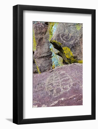 Mexico, Baja California Sur, Sierra de San Francisco. Petroglyphs at remote spring, La Higuerita.-Fredrik Norrsell-Framed Photographic Print