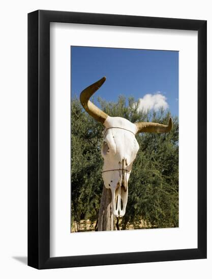 Mexico, Baja California Sur, Sierra La Laguna.-Merrill Images-Framed Photographic Print