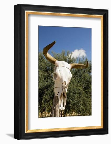 Mexico, Baja California Sur, Sierra La Laguna.-Merrill Images-Framed Photographic Print