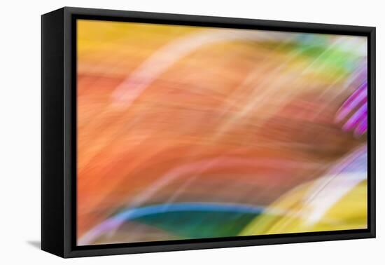 Mexico, Baja California, Tecate. Abstract Wash of Color Patterns-Don Paulson-Framed Premier Image Canvas