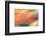 Mexico, Baja California, Tecate. Abstract Wash of Color Patterns-Don Paulson-Framed Photographic Print