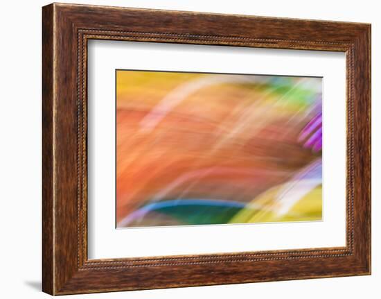 Mexico, Baja California, Tecate. Abstract Wash of Color Patterns-Don Paulson-Framed Photographic Print