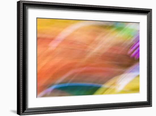 Mexico, Baja California, Tecate. Abstract Wash of Color Patterns-Don Paulson-Framed Photographic Print