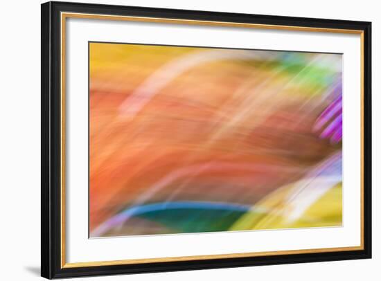 Mexico, Baja California, Tecate. Abstract Wash of Color Patterns-Don Paulson-Framed Photographic Print