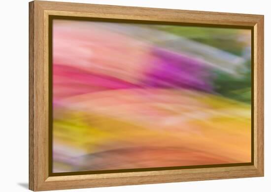 Mexico, Baja California, Tecate. Abstract Wash of Color Patterns-Don Paulson-Framed Premier Image Canvas