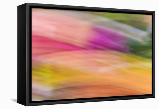 Mexico, Baja California, Tecate. Abstract Wash of Color Patterns-Don Paulson-Framed Premier Image Canvas