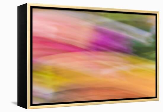 Mexico, Baja California, Tecate. Abstract Wash of Color Patterns-Don Paulson-Framed Premier Image Canvas