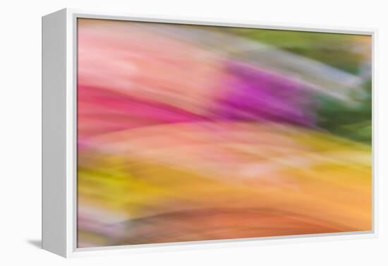 Mexico, Baja California, Tecate. Abstract Wash of Color Patterns-Don Paulson-Framed Premier Image Canvas