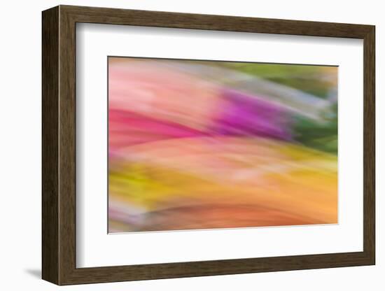 Mexico, Baja California, Tecate. Abstract Wash of Color Patterns-Don Paulson-Framed Photographic Print