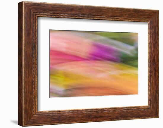 Mexico, Baja California, Tecate. Abstract Wash of Color Patterns-Don Paulson-Framed Photographic Print