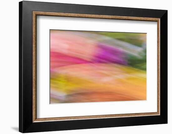 Mexico, Baja California, Tecate. Abstract Wash of Color Patterns-Don Paulson-Framed Photographic Print