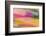 Mexico, Baja California, Tecate. Abstract Wash of Color Patterns-Don Paulson-Framed Photographic Print