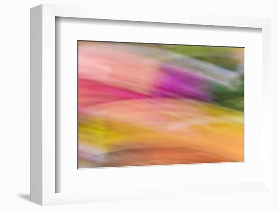 Mexico, Baja California, Tecate. Abstract Wash of Color Patterns-Don Paulson-Framed Photographic Print