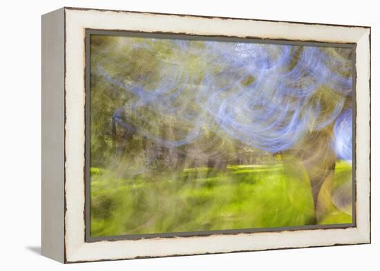 Mexico, Baja California, Tecate. Blur of Rancho La Puerta Scene-Don Paulson-Framed Premier Image Canvas