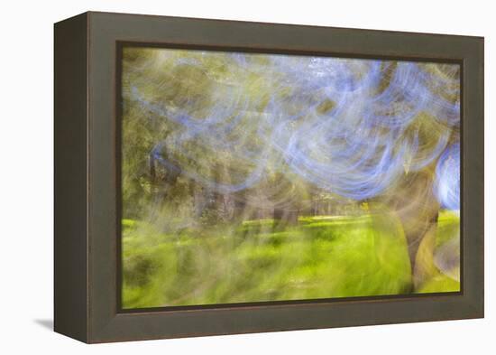 Mexico, Baja California, Tecate. Blur of Rancho La Puerta Scene-Don Paulson-Framed Premier Image Canvas