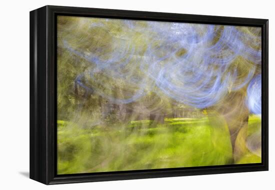 Mexico, Baja California, Tecate. Blur of Rancho La Puerta Scene-Don Paulson-Framed Premier Image Canvas