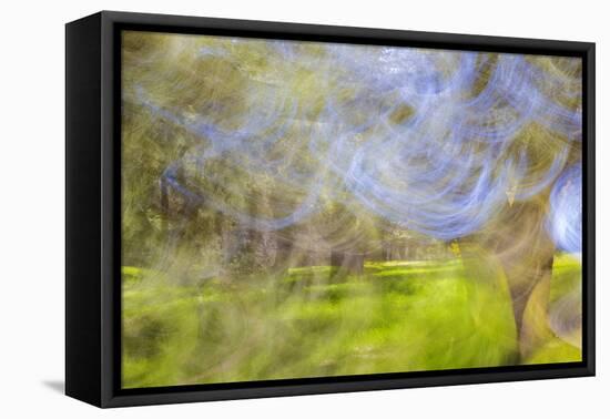 Mexico, Baja California, Tecate. Blur of Rancho La Puerta Scene-Don Paulson-Framed Premier Image Canvas