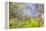 Mexico, Baja California, Tecate. Blur of Rancho La Puerta Scene-Don Paulson-Framed Premier Image Canvas