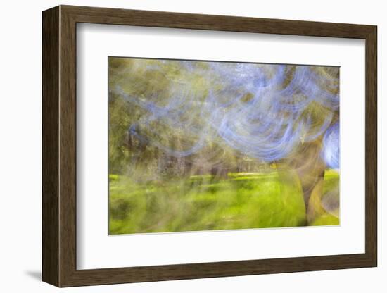 Mexico, Baja California, Tecate. Blur of Rancho La Puerta Scene-Don Paulson-Framed Photographic Print