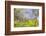 Mexico, Baja California, Tecate. Blur of Rancho La Puerta Scene-Don Paulson-Framed Photographic Print