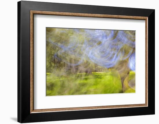 Mexico, Baja California, Tecate. Blur of Rancho La Puerta Scene-Don Paulson-Framed Photographic Print